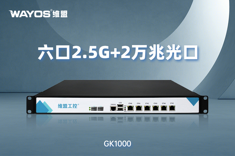 GK1000六口2.5G+2万兆光口